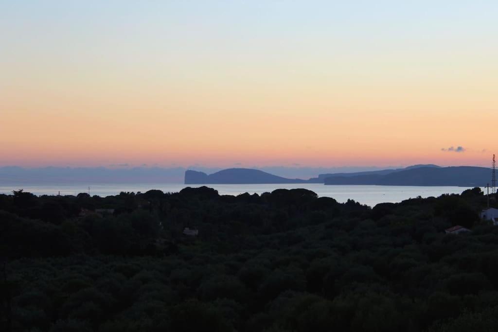 Villa Boeddu, Relax Tra Mare E Campagna Alghero Luaran gambar